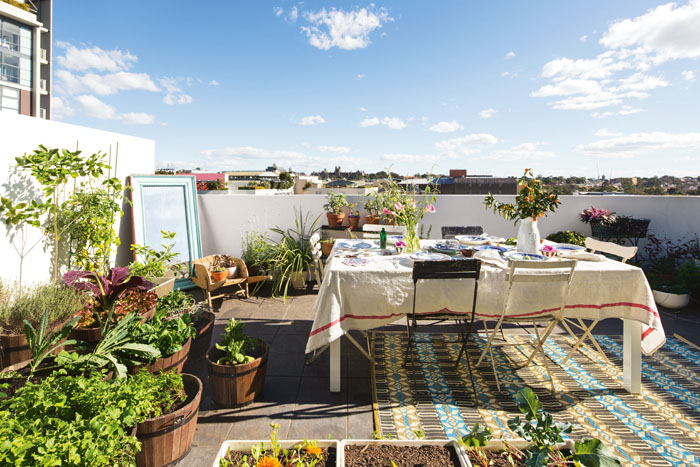 terrace-summer_2
