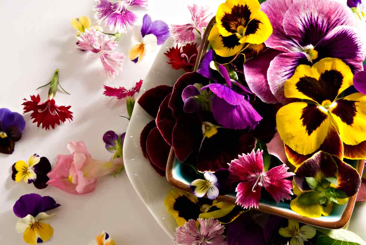 edible flowers