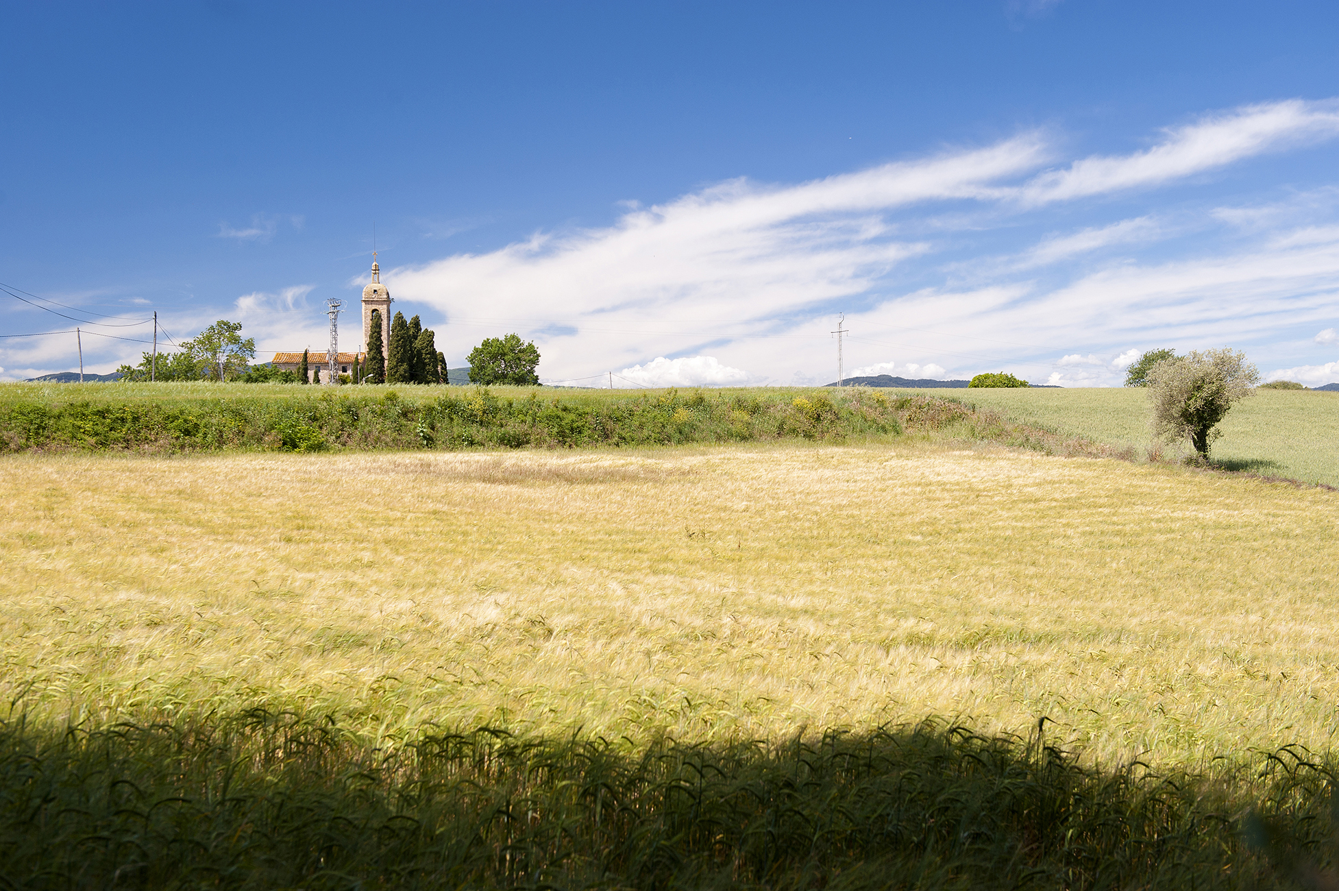 Finca rústica con 2 casas y 5 hectáreas de terreno en Pla de l’Estany