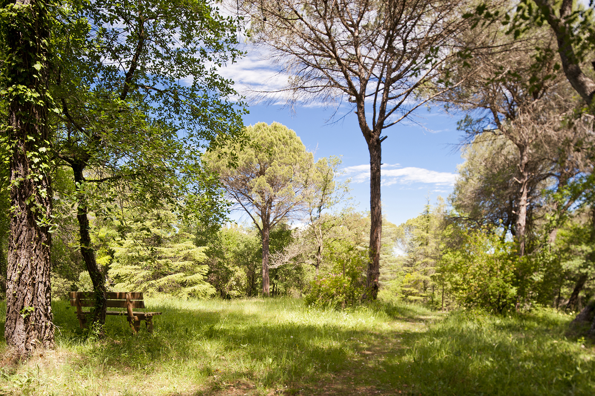 Finca rústica con 2 casas y 5 hectáreas de terreno en Pla de l’Estany