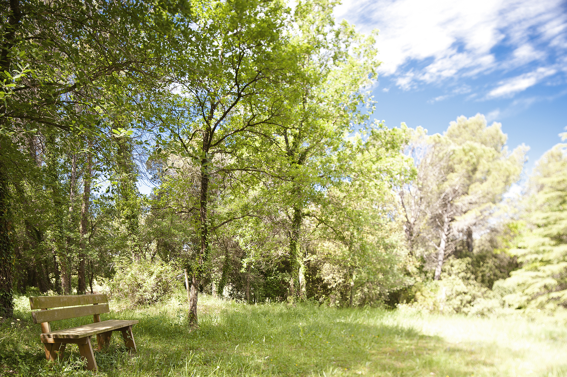 Finca rústica con 2 casas y 5 hectáreas de terreno en Pla de l’Estany