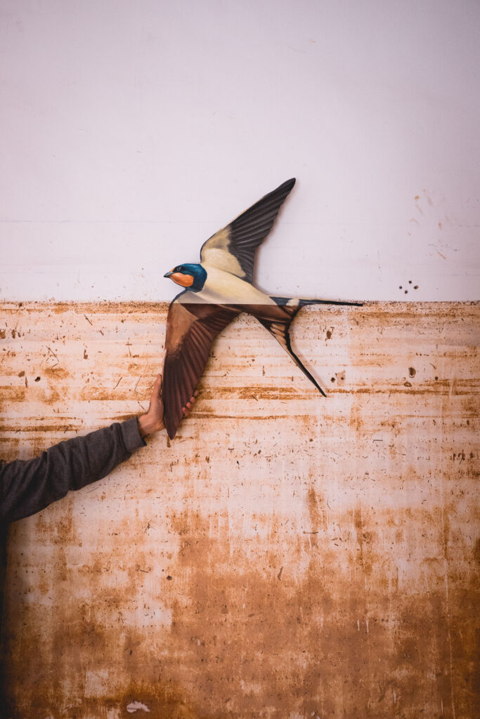 Pedro Mecinas: un vuelo creativo en el corazón de Catarroja | Monapart