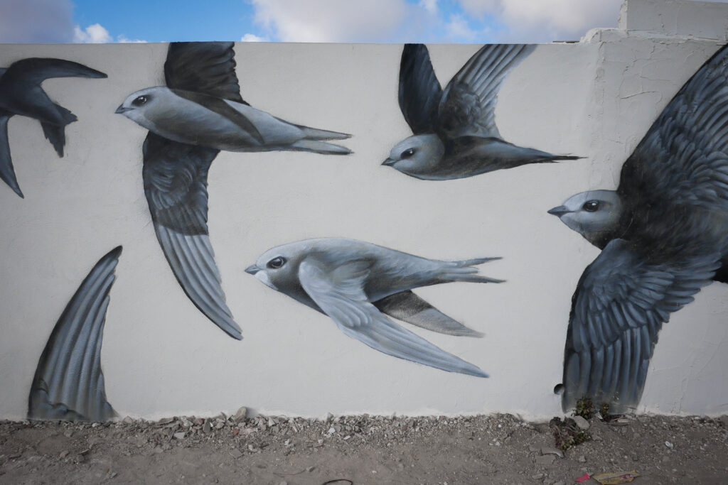 Pedro Mecinas: un vuelo creativo en el corazón de Catarroja | Monapart