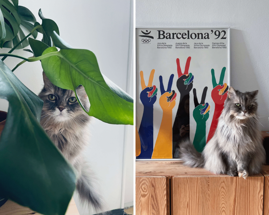 Curullar: cuando el interiorismo se convierte en un verbo | Monapart 
