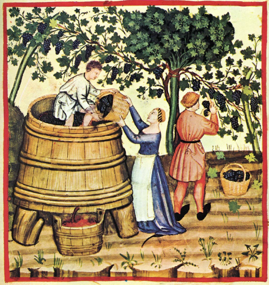 harvest time medieval XIV century