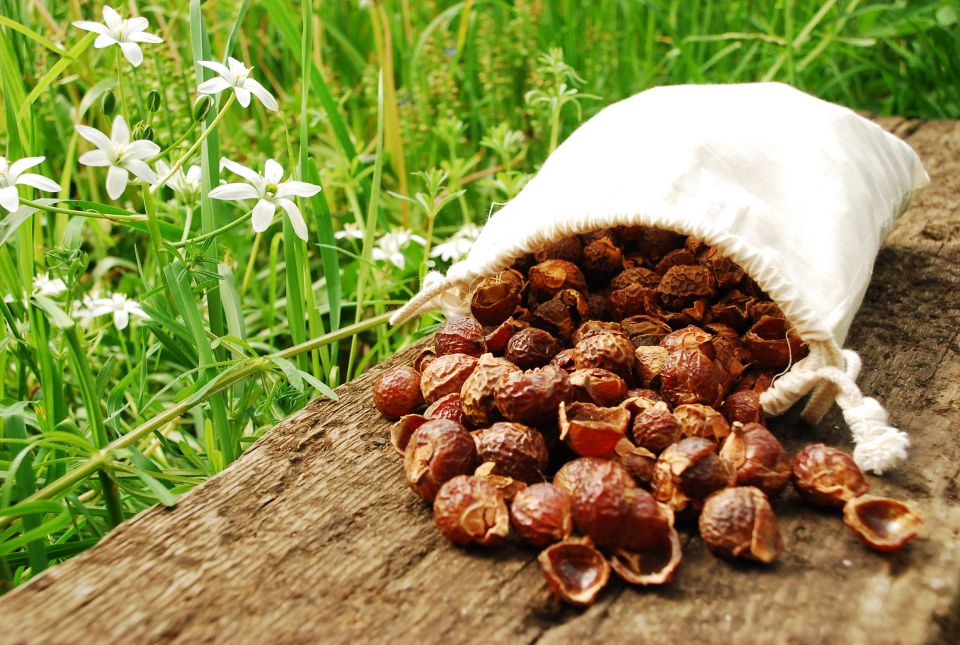 nueces de lavado