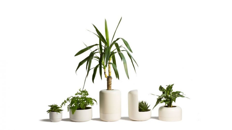 bas-barcelona-ceramica-plantas-macetas