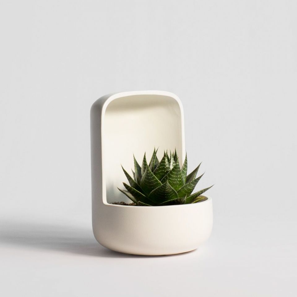 bas-barcelona-ceramica-plantas-macetas