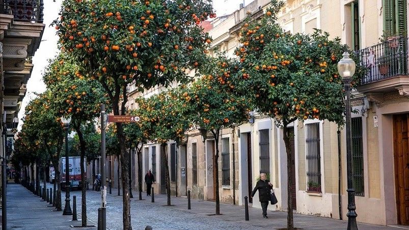 ¿Por qué todo el mundo quiere irse a vivir fuera de Barcelona?