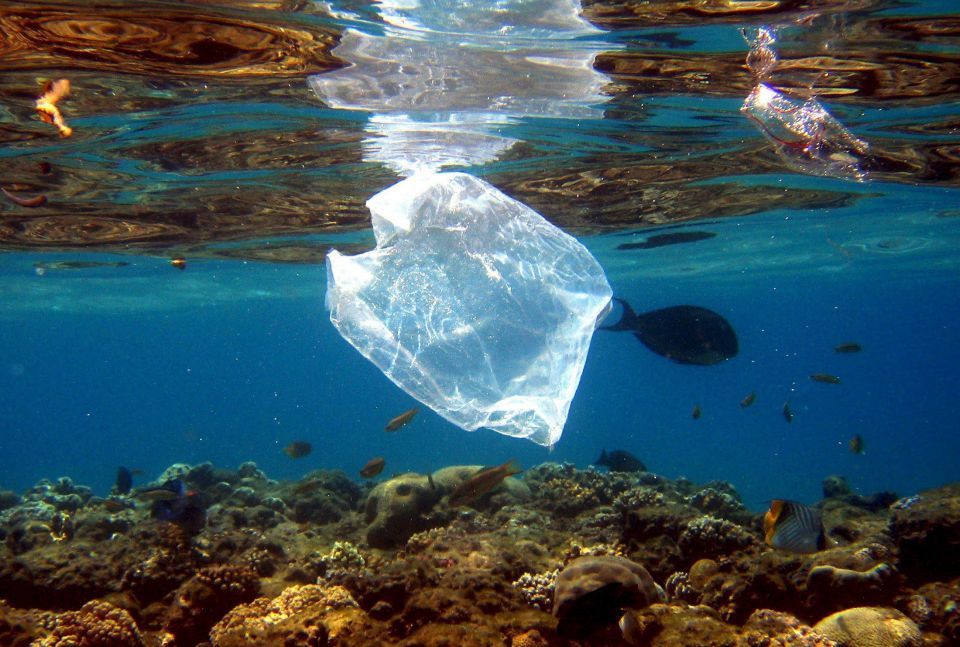 residus de bossa de plàstic contaminen oceans