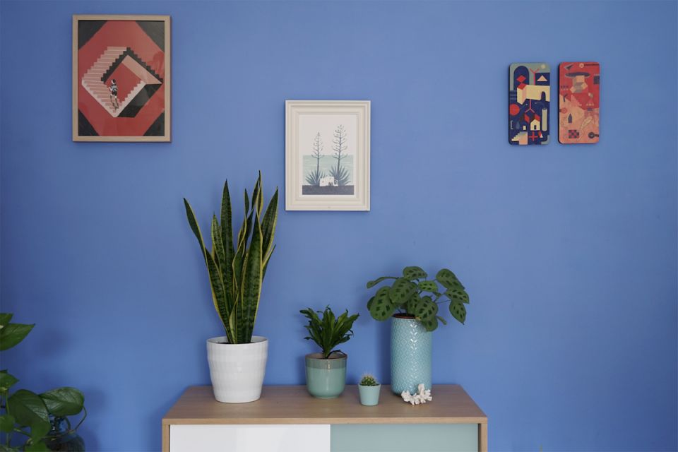 Mueble de salón con plantas y cuadros